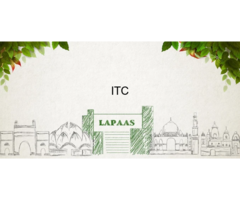 Lapaas Digital Marketing