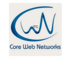 Core Web Networks (BULK SMS PROVIDER DELHI)