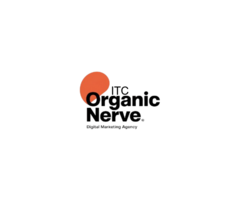 Organic Nerve Marketing