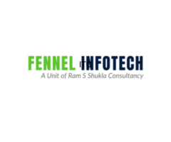 Fennel Infotech - Top Website Designing and Digital Marketing Company in Delhi