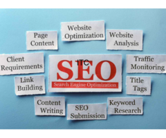 Organic SEO Studio - Best SEO Company in Delhi NCR