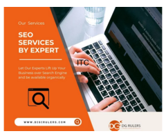 DigiRulers - Digital Marketing Agency & SEO Experts Delhi