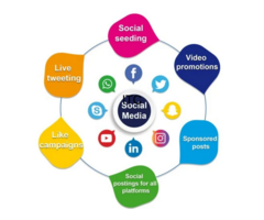 DA Solutions | Digital Marketing Agency Delhi