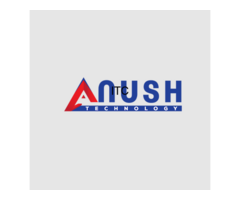 Anush Technology - Website Development  Digital marketing  Software Company