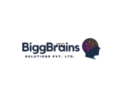 BiggBrains Solutions
