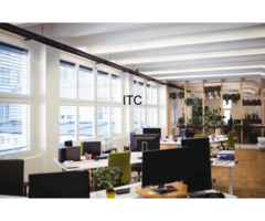 Mace Web Studio-Website Designing Company In Delhi