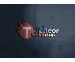 Techeor Technology - Best Website Designing Company in Rohini