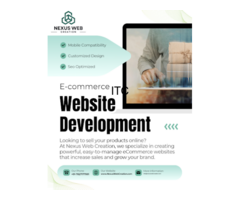 Nexus Web Creation - Website Designing Company in Delhi Rohini