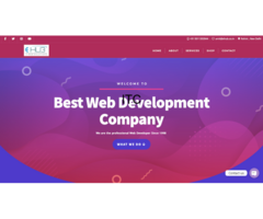 EHUB IT WEB SOLUTION | BEST WEBSITE DESIGNING COMPANY IN DELHI