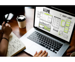 Website Design Monk - Website Designing Company in Delhi