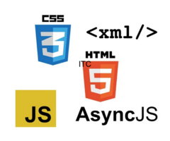 Karan Paswan Web Developer