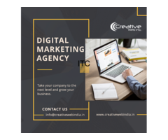 Aerial Infotech (Website Design Company)