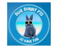 blue bunny ice cream