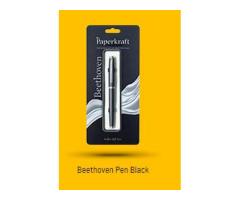 beethoven pen silver