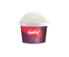 Vanilla No Sugar Ice Cream Cup
